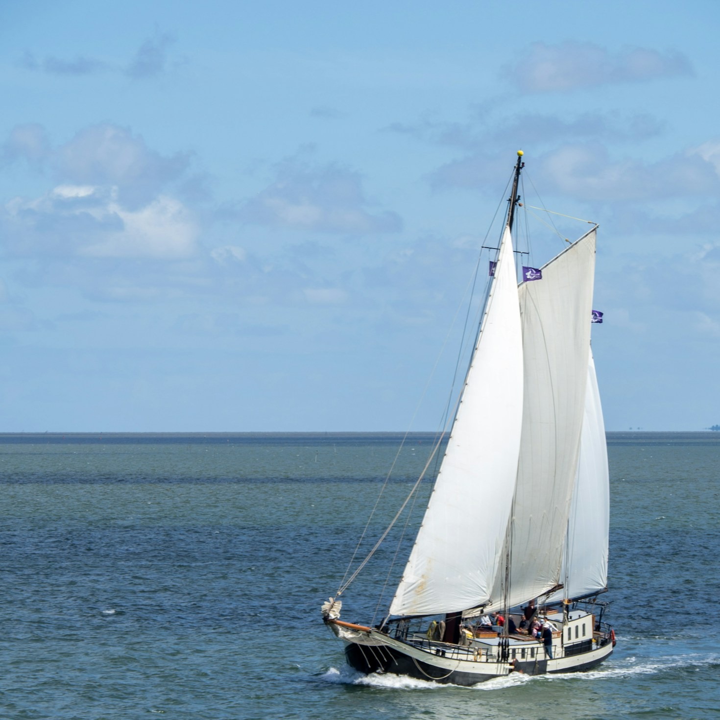 How Wind Sports Promote a Healthy Lifestyle